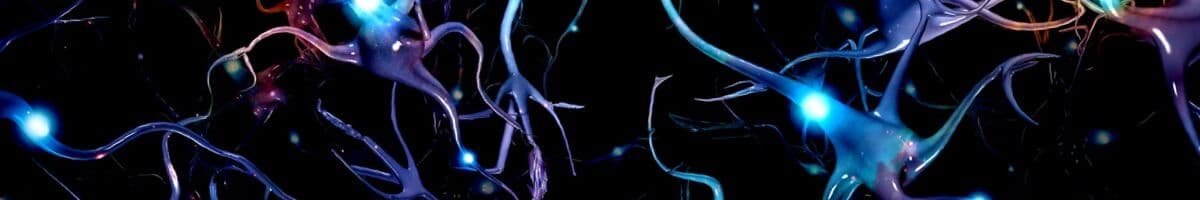 Neurologiska sjukdomar iFokus